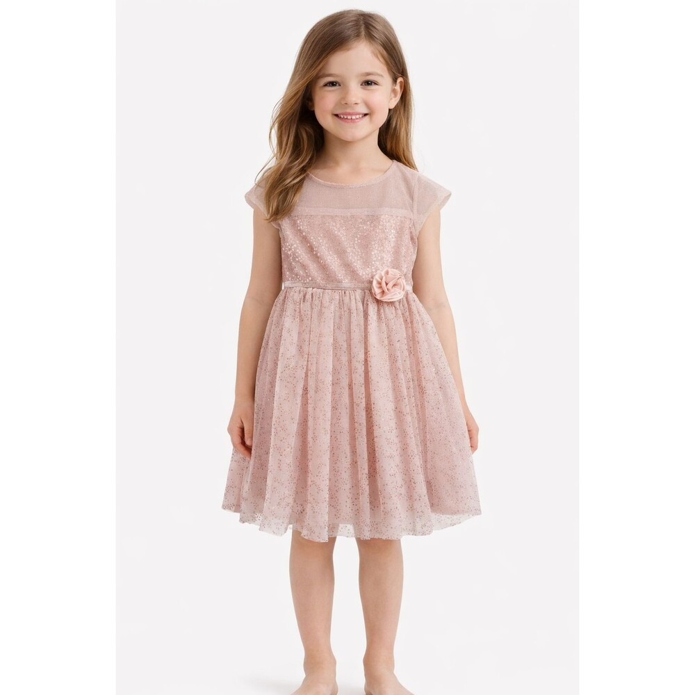 Jona Michelle Girls 6 Light Pink Sparkly Tulle Rosette Flower Girl Party Dress